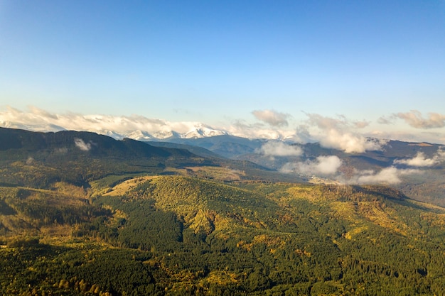 Hohe Berggipfel bedeckt mit herbstlichen Fichtenwäldern und hohen schneebedeckten Gipfeln.