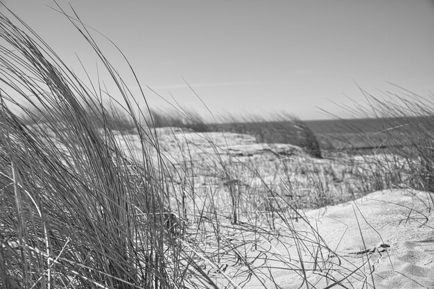 Hohe Düne am darß Aussichtspunkt im Nationalpark Strand Ostsee Himmel und Meer