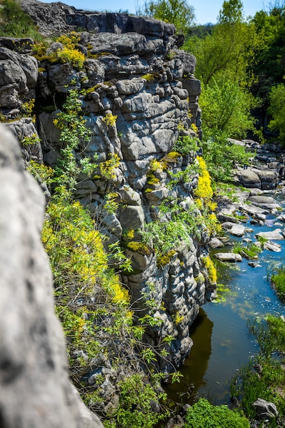 Hohe Klippe am Fluss mit Blumen und Gras