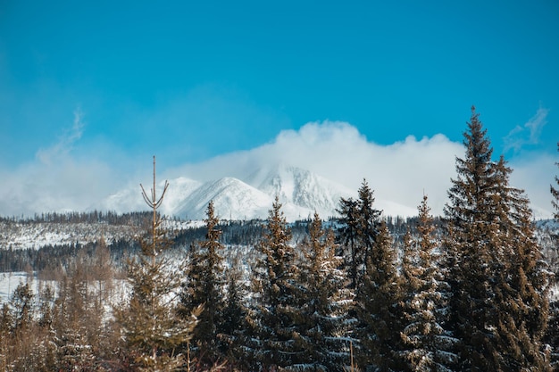 Hohe tatra in der slowakei