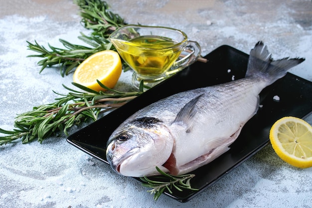 Hohe Winkelansicht der Fische