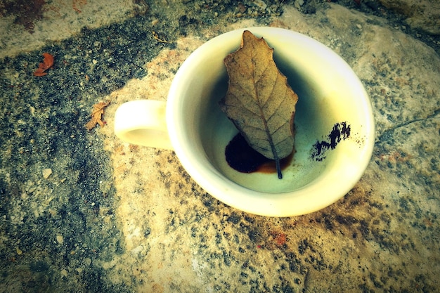 Foto hohe winkelansicht des blattes in der tasse