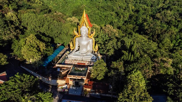 Hohe Winkelansicht Luftfoto der Buddha-Statue im Wald