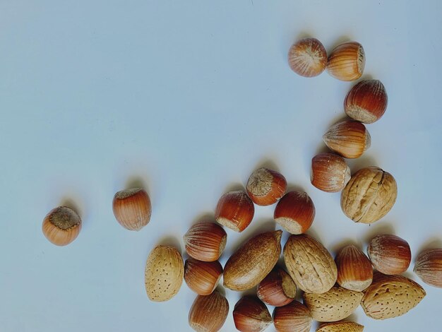 Hohe Winkelansicht von Muscheln