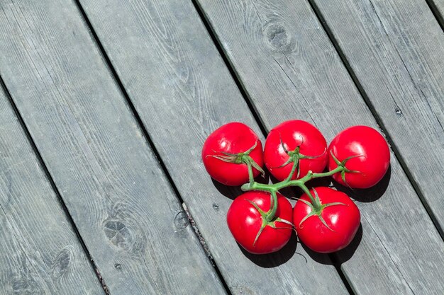 Hohe Winkelansicht von Tomaten auf Bodenplatten