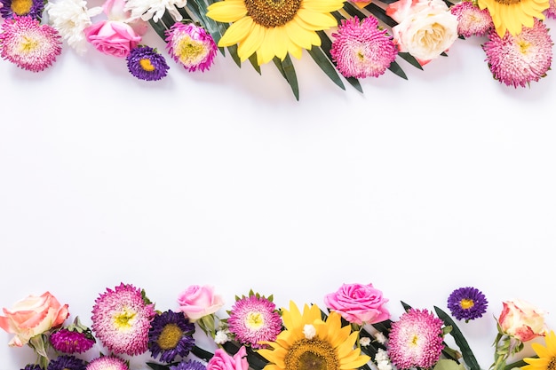 Foto hohe winkelsicht von bunten frischen blumen auf weißem hintergrund