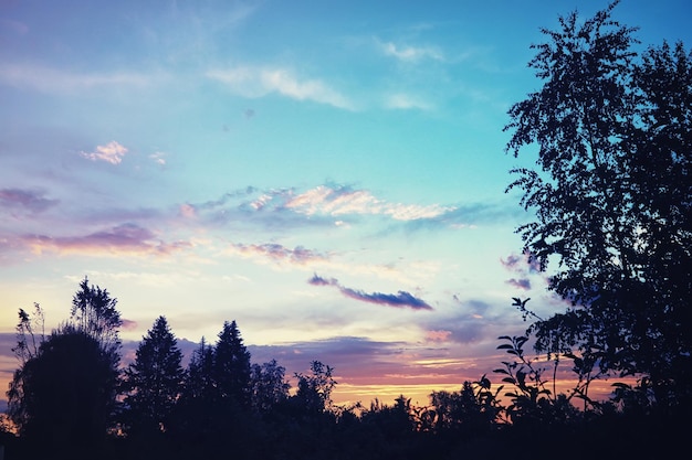 Hohe Wolken am Sommerhimmel Himmelshintergrund Meteorologische Beobachtungen des Himmels