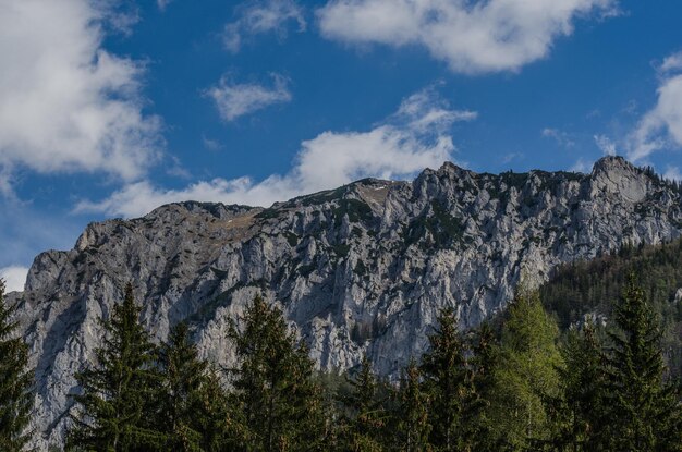 Hoher Berg im Sommer