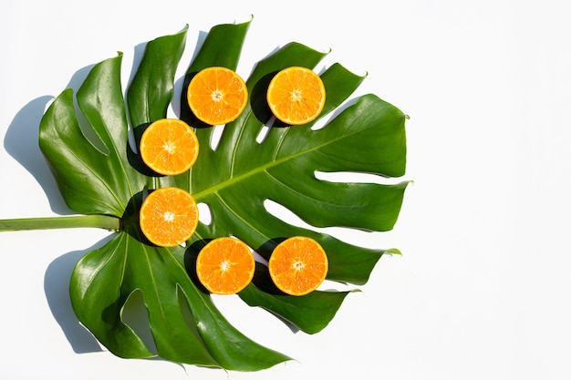 Hoher Vitamin C, saftig und süß. Frische Orangenfrucht mit Monstera-Pflanzenblatt.