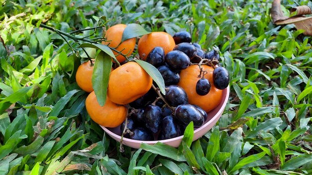 Hoher Winkel, Zitrusfrüchte und Trauben auf grünem Grashintergrund. Gesundes Obst 04