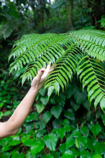 Hoja acariciando la mano