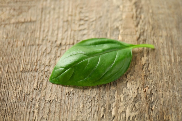 Una hoja de albahaca orgánica fresca verde sobre fondo de madera