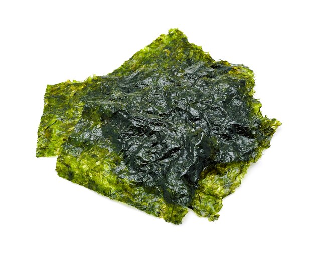 Hoja de algas secas aislado