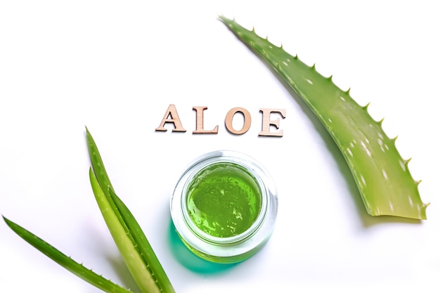 Hoja de aloe sobre un fondo claro tratamientos y cosméticos naturales