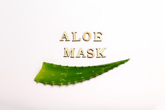 Hoja de aloe sobre un fondo claro tratamientos y cosméticos naturales