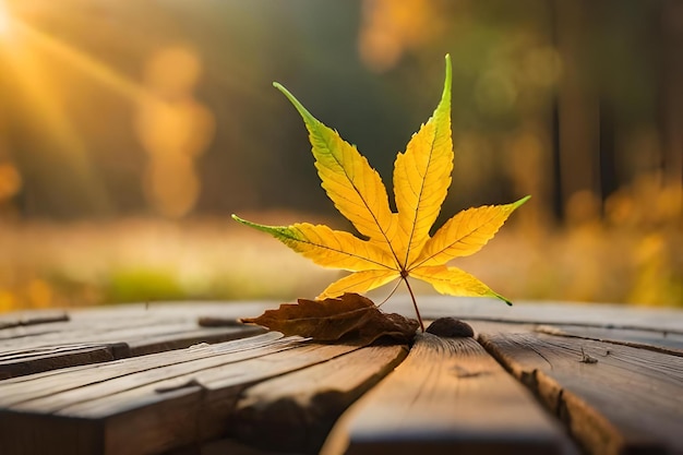 Una hoja amarilla en una mesa de madera en el bosque