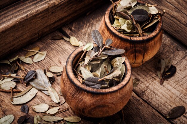 Hoja de arándano Medicina herbal