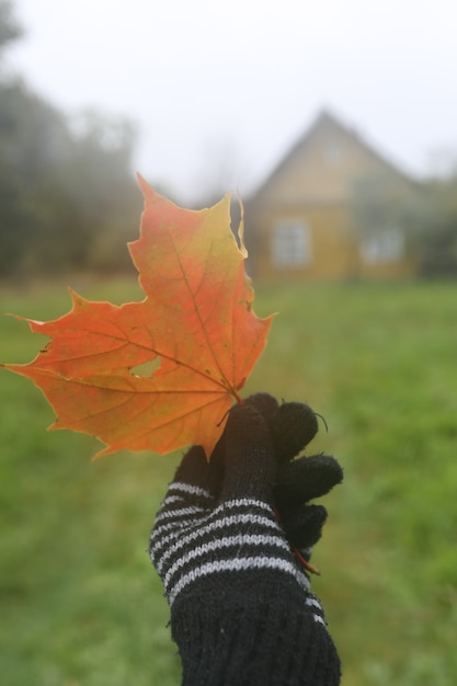 Hoja de arce de color naranja brillante en una mano con guantes de humor de otoño