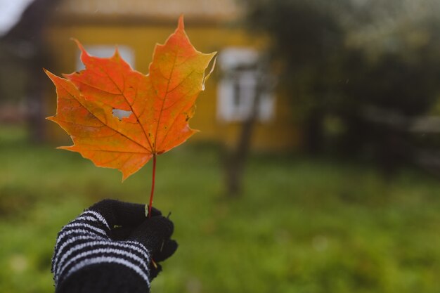 Hoja de arce de color naranja brillante en una mano con guantes de humor de otoño