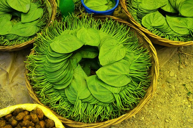 Foto la hoja de betel está lista para la venta