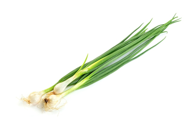 Foto hoja de cebolla de primavera aislada en fondo blanco patrón de hojas verdes