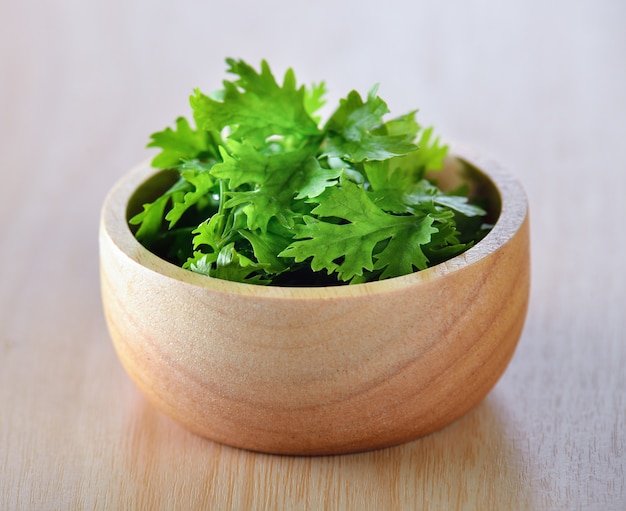 Hoja de cilantro en una taza