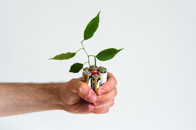 Foto la hoja crece a partir de pilas alcalinas en la mano sobre un fondo aislado