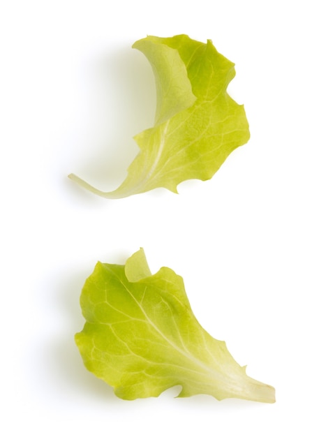 Hoja de ensalada aislado en blanco