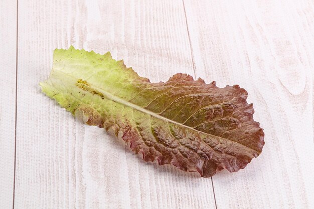 Hoja de ensalada de lechuga fresca verde aislada