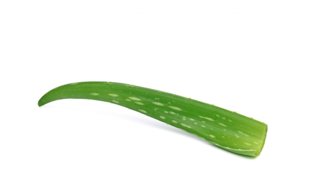 Hoja fresca de aloe vera aislada