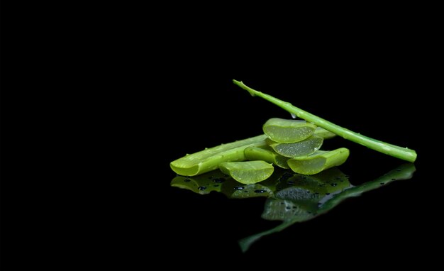 Hoja fresca de aloe vera cortada aislada