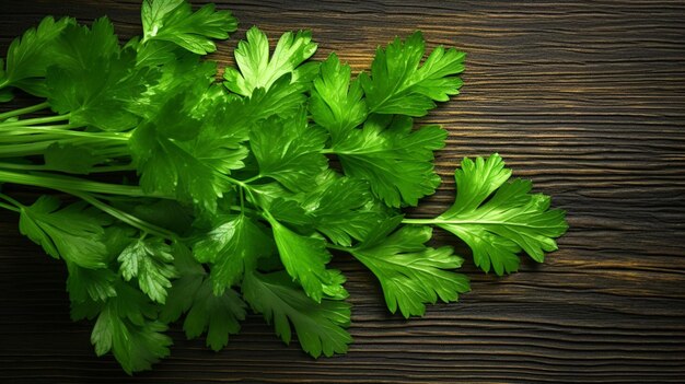 Foto hoja fresca de perejil, una verdura verde saludable para productos orgánicos.