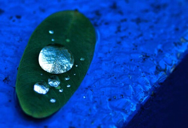 Foto hoja con gota