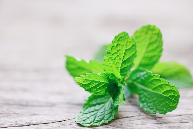 Hoja de menta sobre fondo de madera