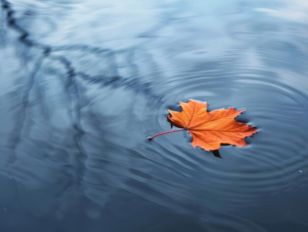 Una hoja de naranja de otoño flotando en la superficie de un estanque