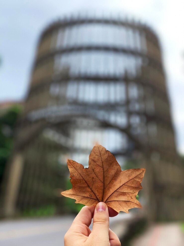La hoja de otoño y la construcción