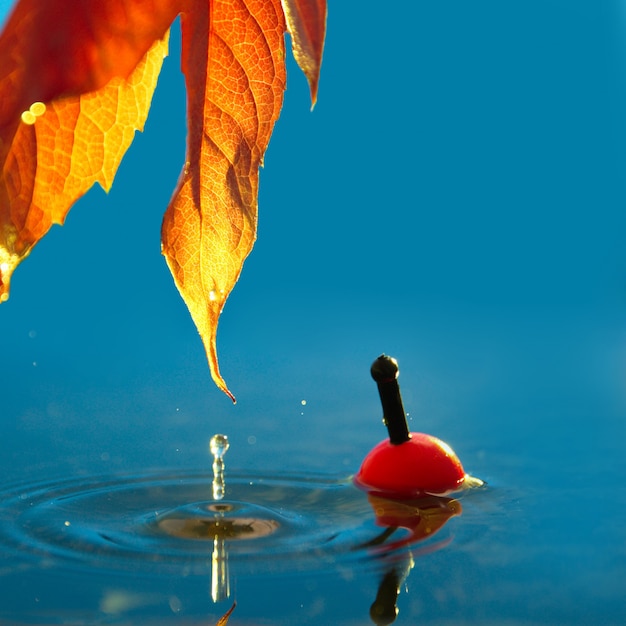 Hoja de otoño y un flotador de pesca en el otoño en un embalse