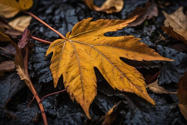 Hoja de otoño con intrincados patrones de venas