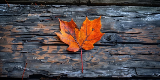 Hoja de otoño en la madera desgastada