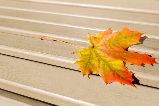 Hoja de otoño en la madera