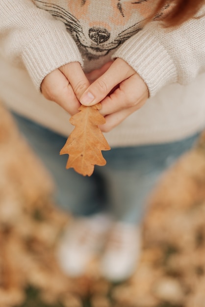 Hoja de otoño en manos de una niña en jeans y un suéter blanco sosteniendo una hoja en sus manos