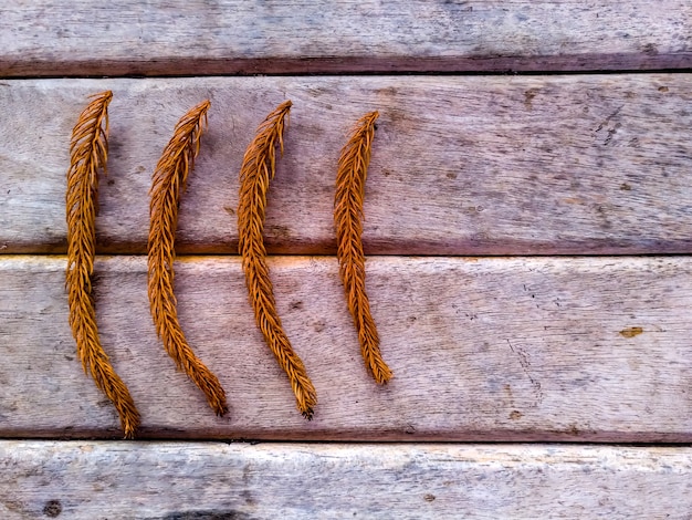 Hoja de otoño en la mesa de madera