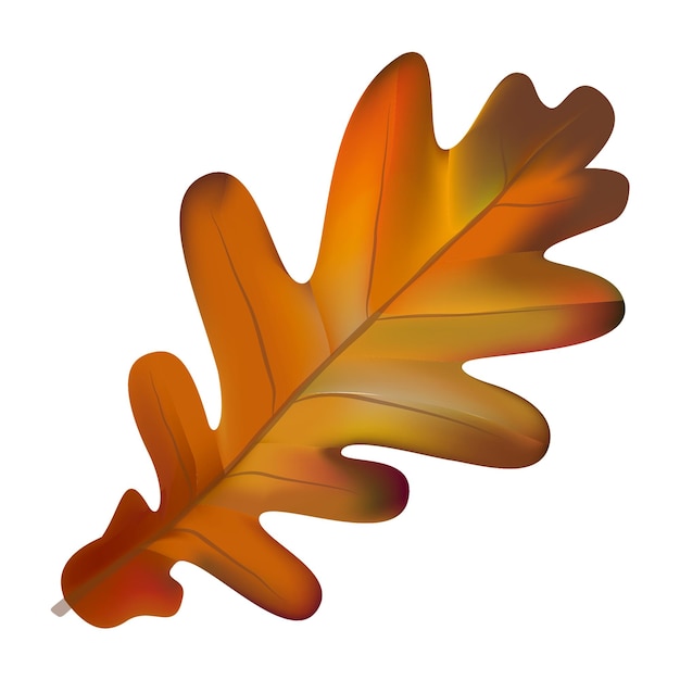 La hoja de otoño png fondo transparente