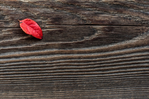 Hoja de otoño roja sobre un fondo de madera tema de otoño