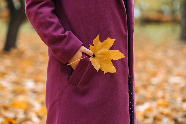 Hoja de otoño sosteniendo en mano femenina Disparo sin rostro de mujer en abrigo púrpura sosteniendo hoja de arce amarilla en el parque de otoño