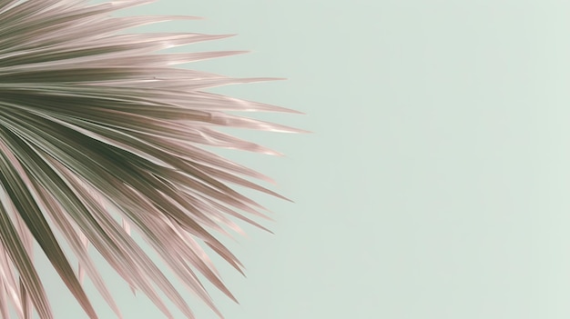 Foto una hoja de palmera que se descama ligeramente sobre un fondo de color pastel claro