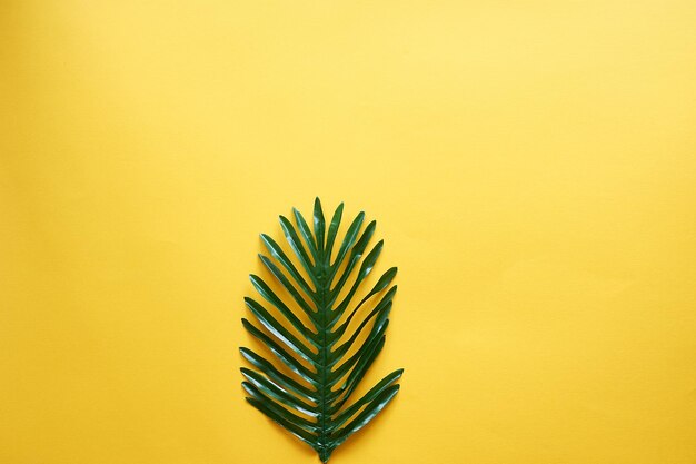 Una hoja de palmera sobre un fondo amarillo. un lugar para el texto. creatividad y minimalismo.