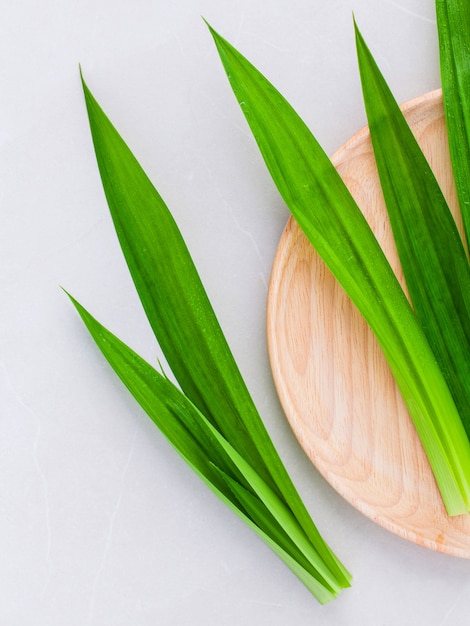 Hoja de Pandanus en el fondo blanco.