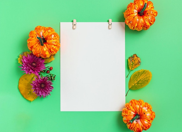 Hoja de papel en blanco con decoración sobre fondo verde con calabaza y flores