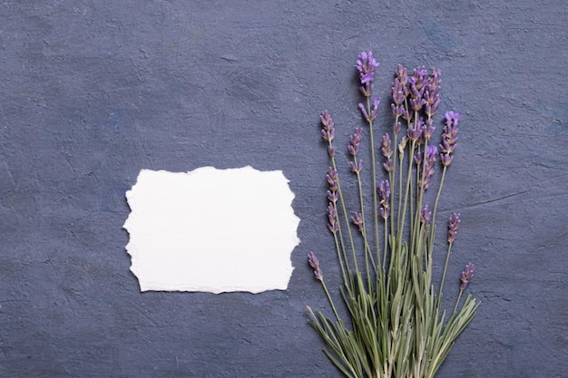 Hoja de papel en blanco para texto con flores de lavanda Mensaje de primavera